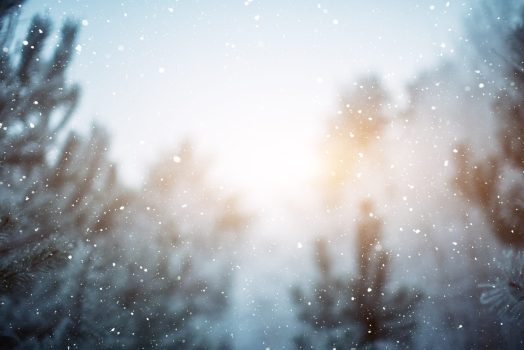 snowfall on the blurred background. winter background